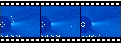 Movie of SOHO's first officially periodic comet